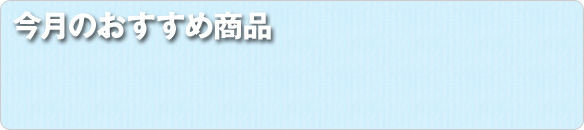おすすめ商品